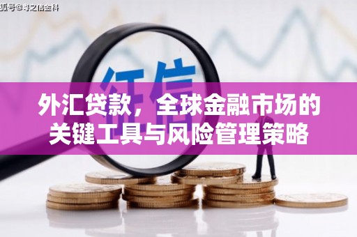 中埔外汇贷款，全球金融市场的关键工具与风险管理策略