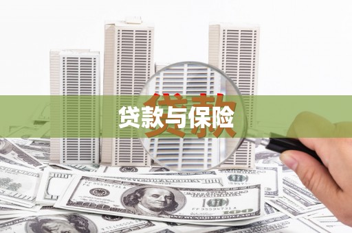 中埔贷款与保险