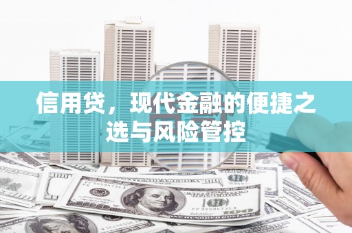 中埔信用贷，现代金融的便捷之选与风险管控