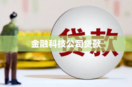 中埔金融科技公司贷款