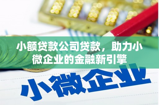 中埔小额贷款公司贷款，助力小微企业的金融新引擎