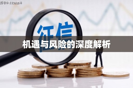 中埔机遇与风险的深度解析
