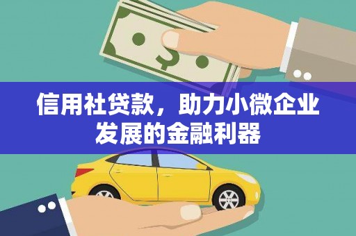 中埔信用社贷款，助力小微企业发展的金融利器