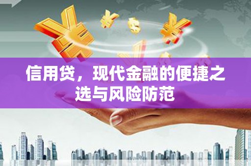 中埔信用贷，现代金融的便捷之选与风险防范