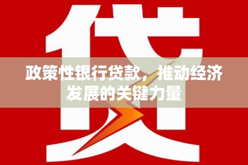 中埔政策性银行贷款，推动经济发展的关键力量