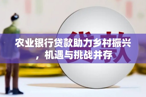 中埔农业银行贷款助力乡村振兴，机遇与挑战并存