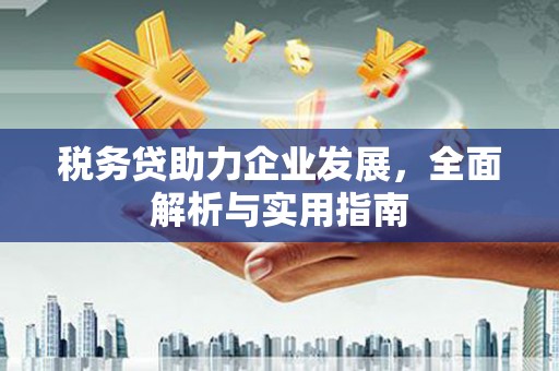 中埔税务贷助力企业发展，全面解析与实用指南