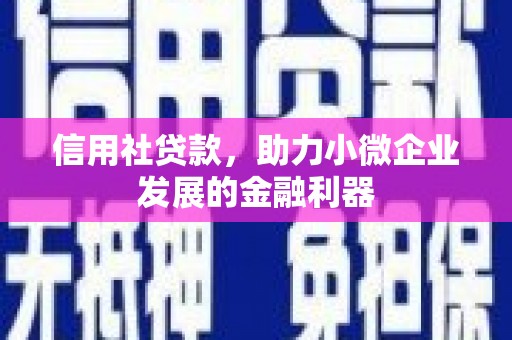 中埔信用社贷款，助力小微企业发展的金融利器