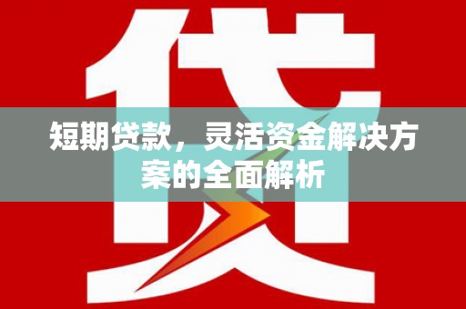 中埔短期贷款，灵活资金解决方案的全面解析