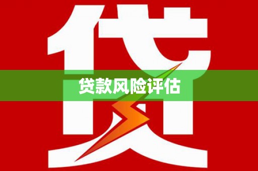 中埔贷款风险评估
