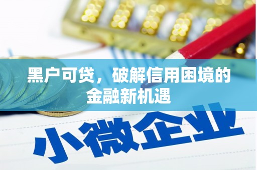 中埔黑户可贷，破解信用困境的金融新机遇