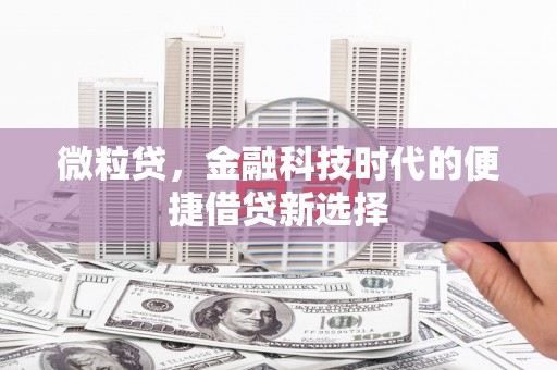 中埔微粒贷，金融科技时代的便捷借贷新选择