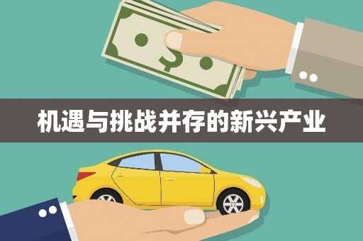 中埔机遇与挑战并存的新兴产业