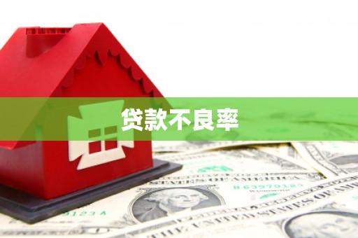 中埔贷款不良率