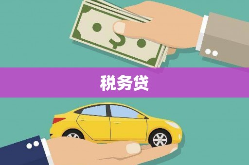 中埔税务贷