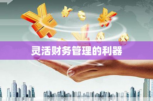 中埔灵活财务管理的利器