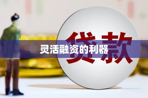 中埔灵活融资的利器