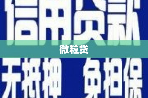 中埔微粒贷