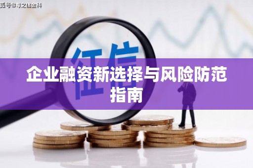 中埔企业融资新选择与风险防范指南