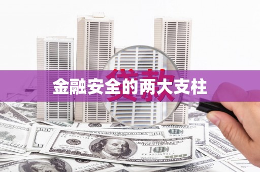 中埔金融安全的两大支柱