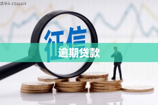 中埔逾期贷款