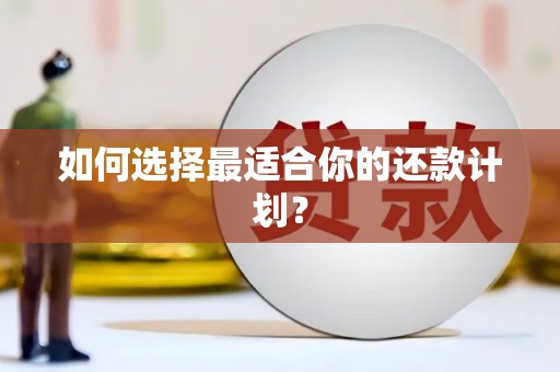 中埔如何选择最适合你的还款计划？