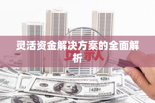 中埔灵活资金解决方案的全面解析